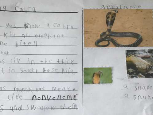 Year 2 - Independent research
