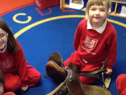 Year 1 learn a few new facts about horses