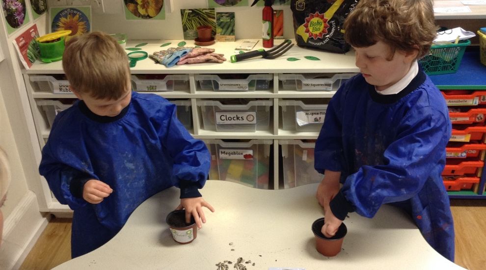 Reception learn about 'Growing'