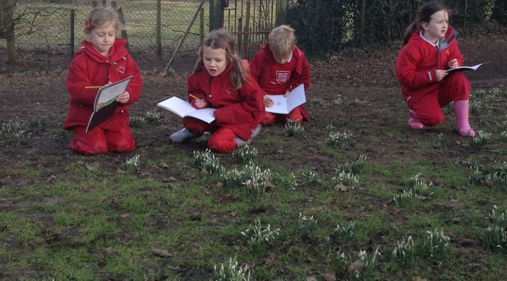 Year 2 sketch snowdrops during Forest School
