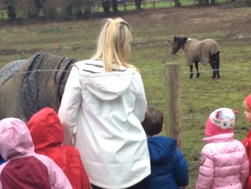 Preschool find horses in a field on their winter walk