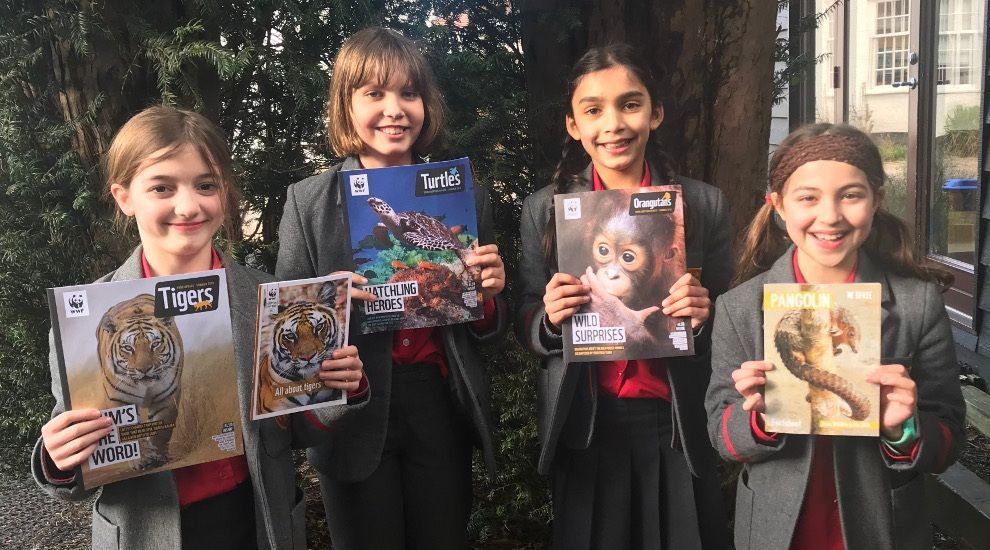 Year 5 children raise funds for WWF and REST