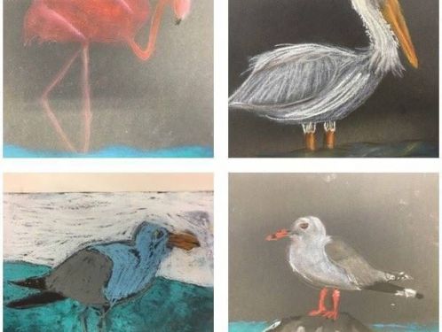 Year 6 Art: Water birds in chalk pastels